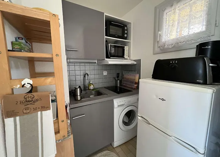 Gielac Avec Terrasse Pour 2 Personnes A Giens