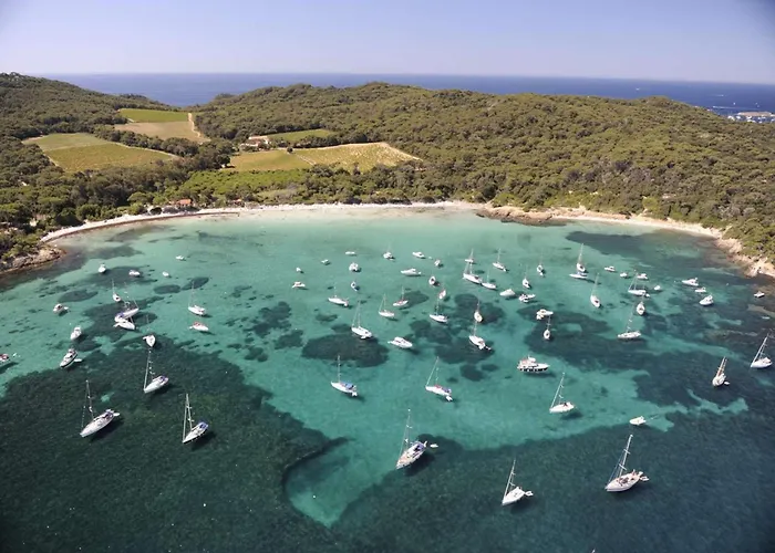 Gielac Avec Terrasse Pour 2 Personnes A Giens شقة *